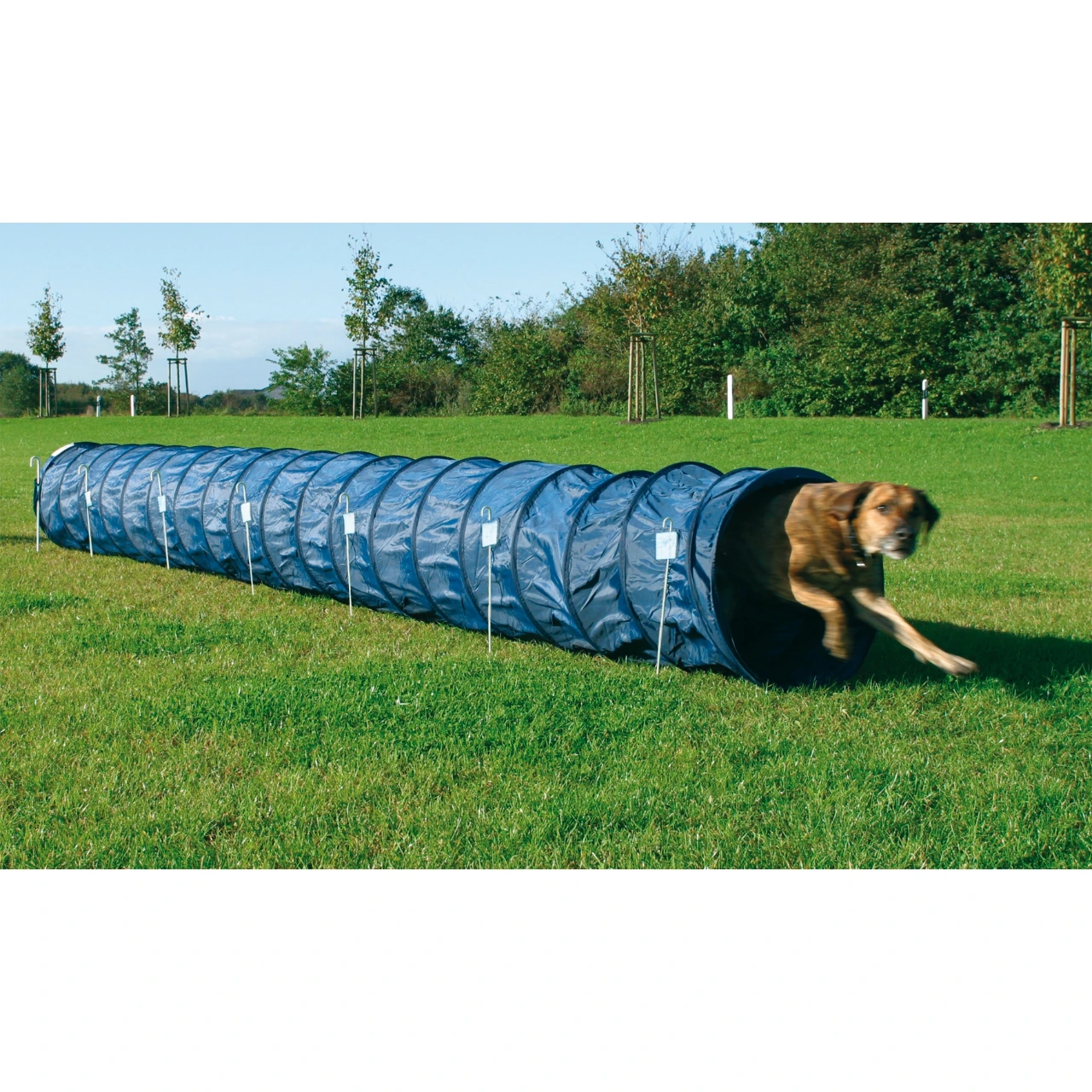 Trixie Agility Basic Tunnel - træning og leg til hunde